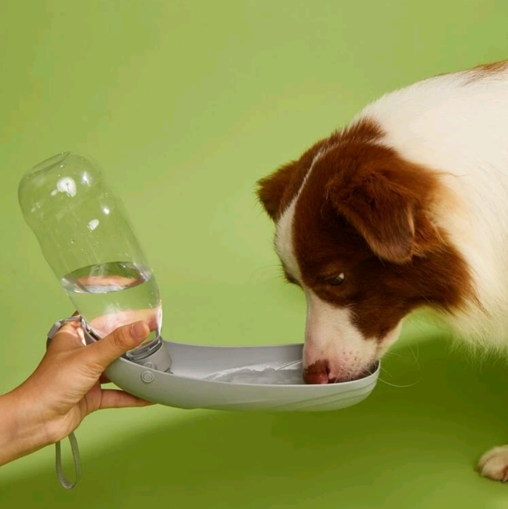 🎉3 for 5$ Dog Portable Water Dispenser